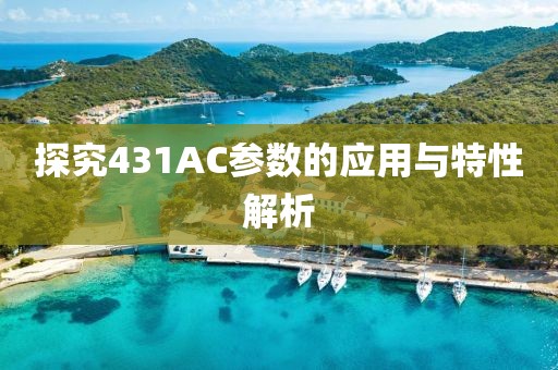 探究431AC参数的应用与特性解析