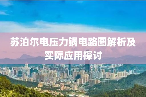 苏泊尔电压力锅电路图解析及实际应用探讨