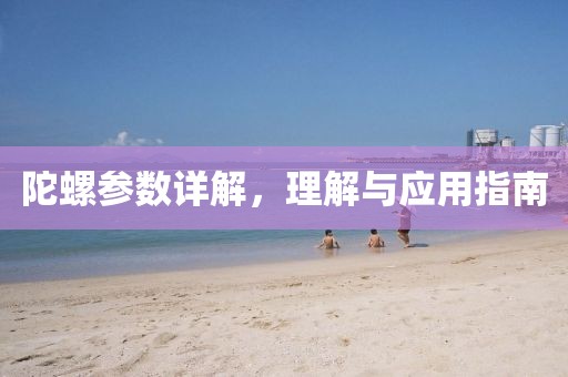 陀螺参数详解，理解与应用指南