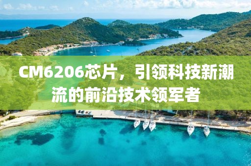 CM6206芯片，引领科技新潮流的前沿技术领军者