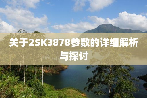 关于2SK3878参数的详细解析与探讨