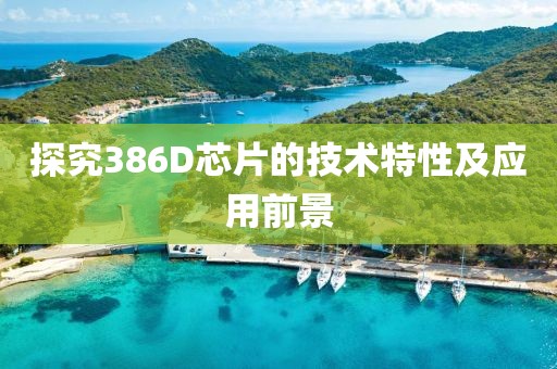 探究386D芯片的技术特性及应用前景