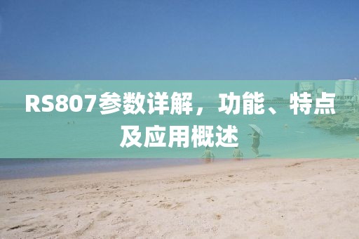 RS807参数详解，功能、特点及应用概述
