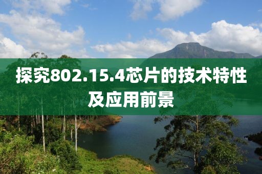 寻梦人 第24页