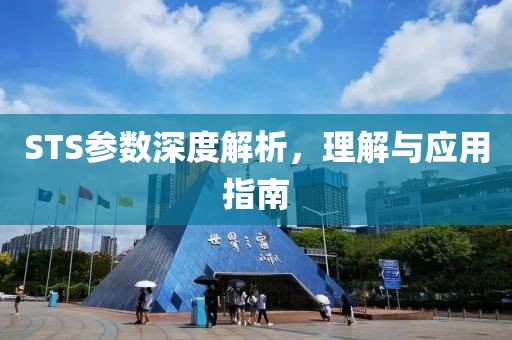 STS参数深度解析，理解与应用指南