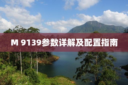 M 9139参数详解及配置指南