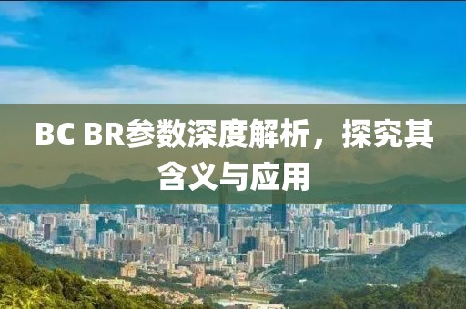 BC BR参数深度解析，探究其含义与应用