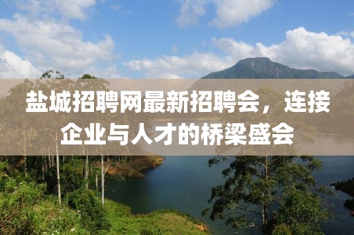盐城招聘网最新招聘会，连接企业与人才的桥梁盛会