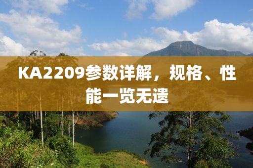 KA2209参数详解，规格、性能一览无遗