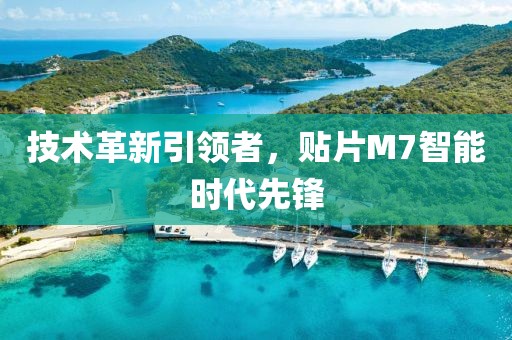 技术革新引领者，贴片M7智能时代先锋