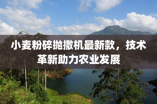 小麦粉碎抛撒机最新款，技术革新助力农业发展