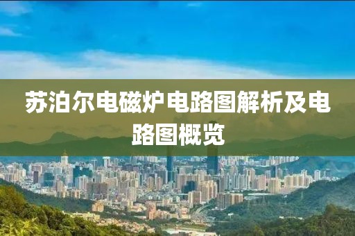 苏泊尔电磁炉电路图解析及电路图概览