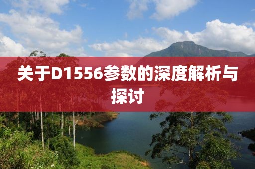 关于D1556参数的深度解析与探讨