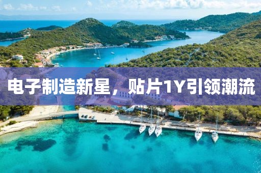 电子制造新星，贴片1Y引领潮流