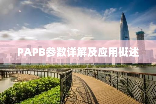 PAPB参数详解及应用概述