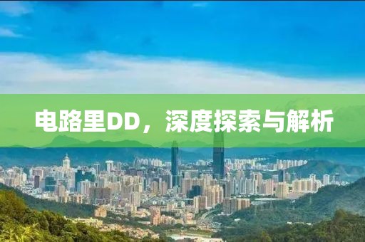 电路里DD，深度探索与解析