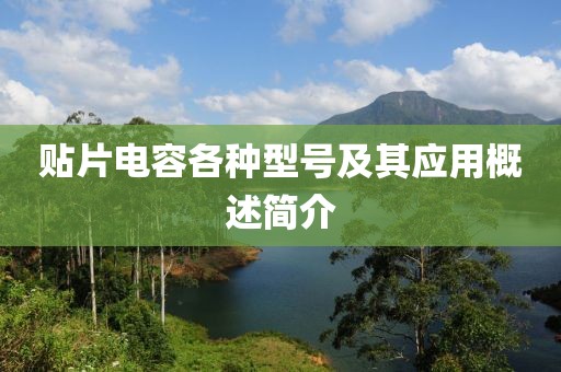 贴片电容各种型号及其应用概述简介