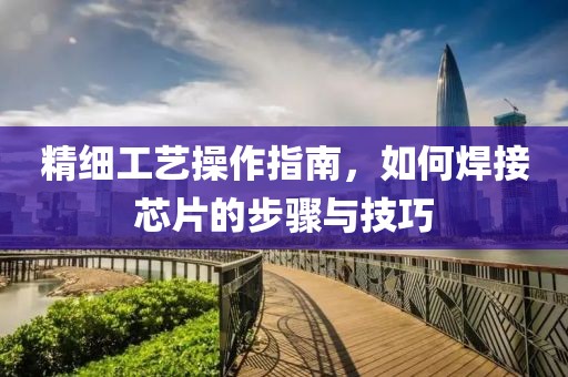 寻梦人 第23页