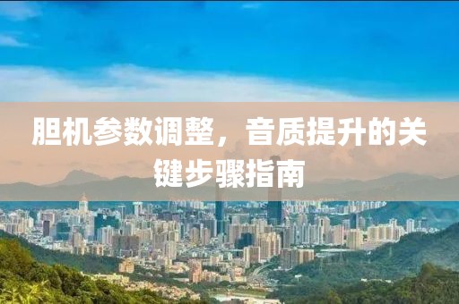 胆机参数调整，音质提升的关键步骤指南