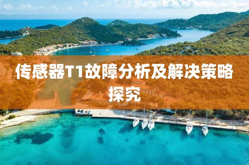传感器T1故障分析及解决策略探究