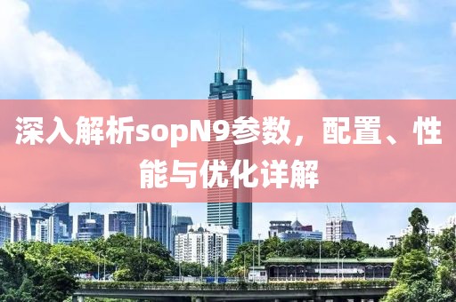 深入解析sopN9参数，配置、性能与优化详解