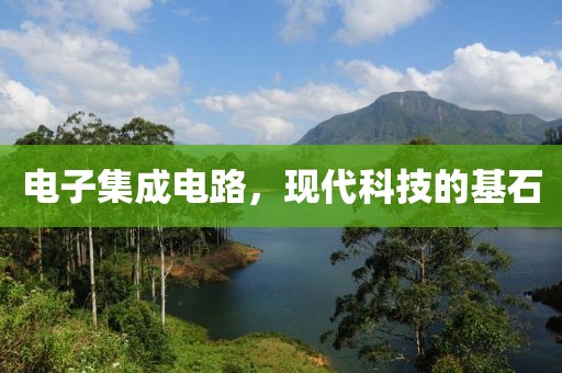 猫梦鱼 第22页
