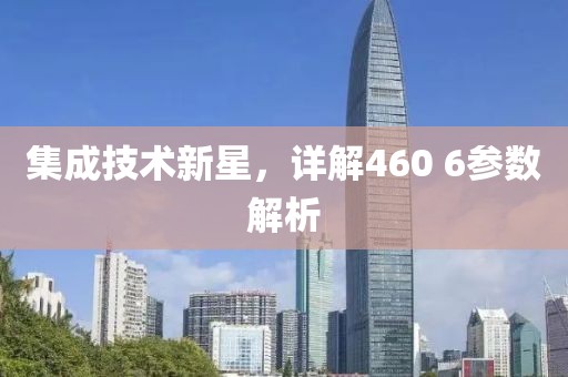 集成技术新星，详解460 6参数解析