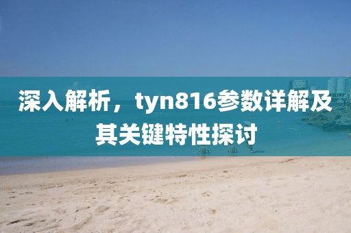 深入解析，tyn816参数详解及其关键特性探讨