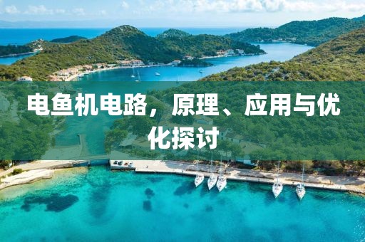 电鱼机电路，原理、应用与优化探讨