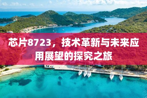 芯片8723，技术革新与未来应用展望的探究之旅