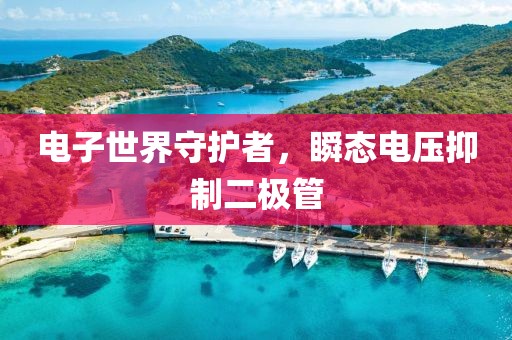 电子世界守护者，瞬态电压抑制二极管
