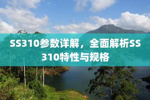 SS310参数详解，全面解析SS310特性与规格