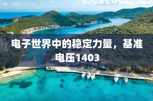 电子世界中的稳定力量，基准电压1403