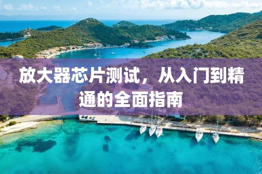 放大器芯片测试，从入门到精通的全面指南
