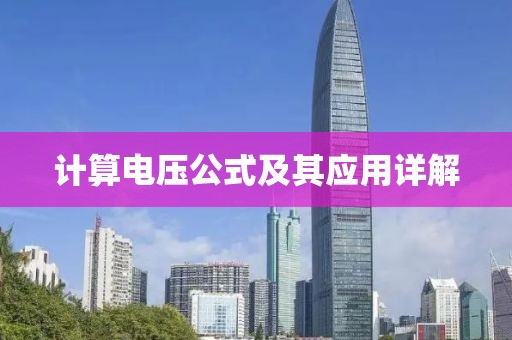 2025年2月 第313页