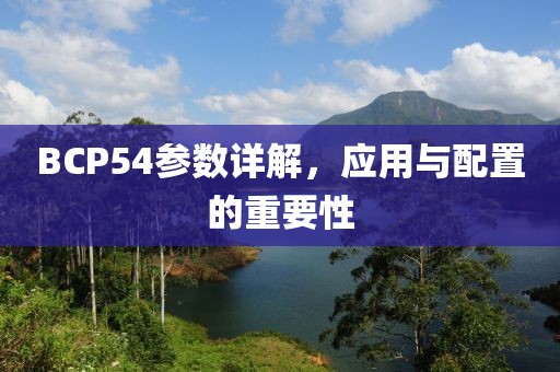 BCP54参数详解，应用与配置的重要性