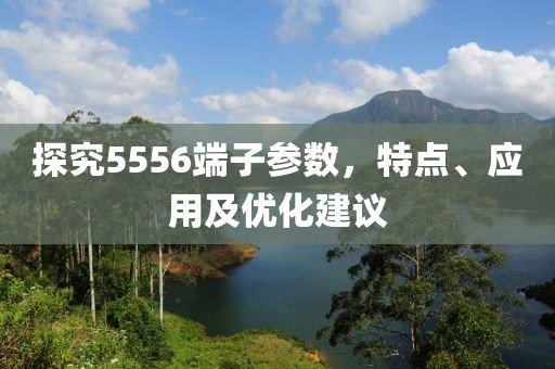 探究5556端子参数，特点、应用及优化建议