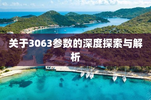 关于3063参数的深度探索与解析