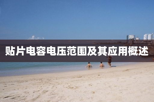 短裙杀 第20页