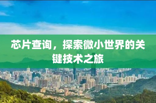 芯片查询，探索微小世界的关键技术之旅