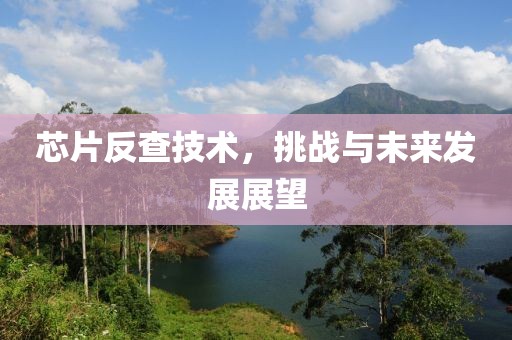 芯片反查技术，挑战与未来发展展望