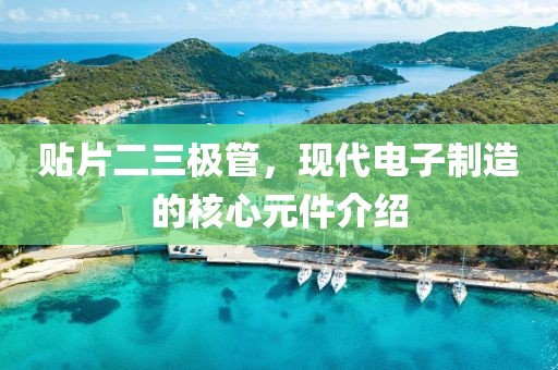 贴片二三极管，现代电子制造的核心元件介绍
