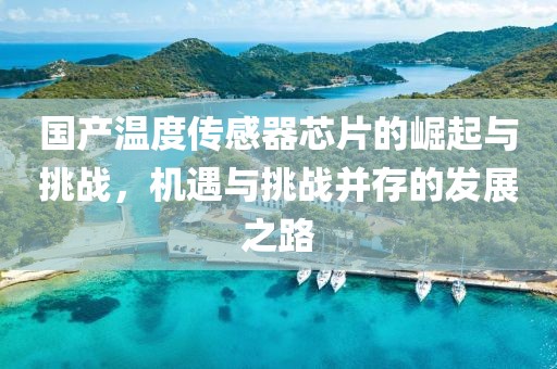 国产温度传感器芯片的崛起与挑战，机遇与挑战并存的发展之路