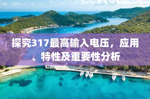 探究317最高输入电压，应用、特性及重要性分析