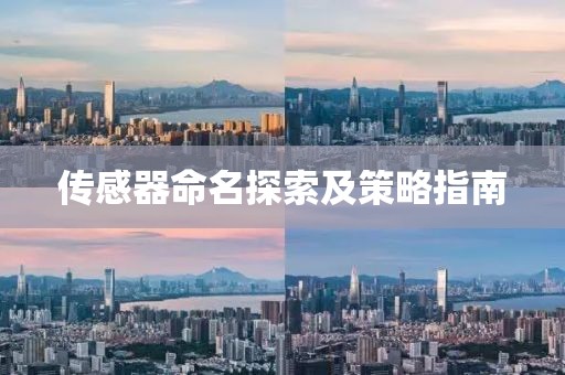 传感器命名探索及策略指南