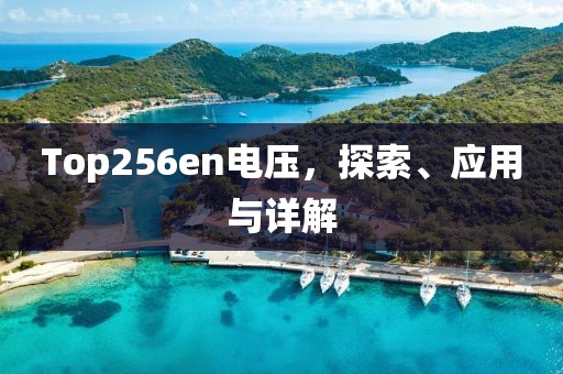 Top256en电压，探索、应用与详解