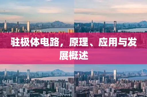驻极体电路，原理、应用与发展概述