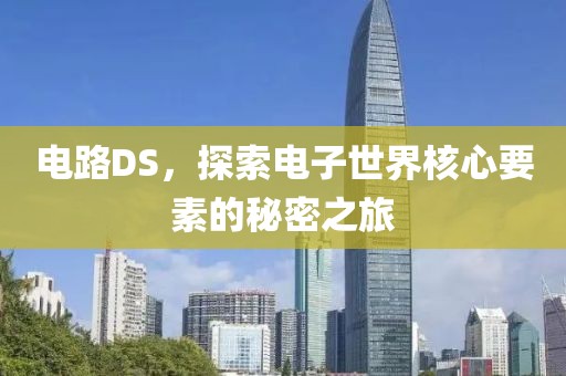 电路DS，探索电子世界核心要素的秘密之旅