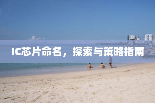 IC芯片命名，探索与策略指南