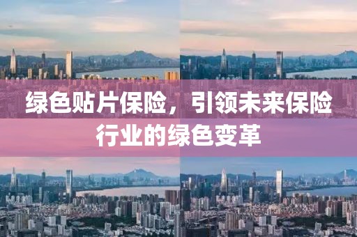 绿色贴片保险，引领未来保险行业的绿色变革